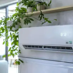 Un climatiseur split blanc, orné de plantes vertes retombantes, diffuse une fraîcheur bienvenue dans un salon moderne.
