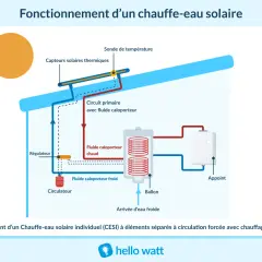 Schéma du fonctionnement d'un chauffe-eau solaire : le soleil chauffe un fluide caloporteur qui circule vers un ballon de stockage.