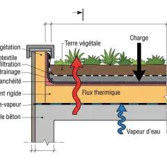 Coupe d'une toiture chaude végétalisée : terre, végétation, drainage, étanchéité, isolant rigide et dalle béton. Flux thermique et vapeur d'eau indiqués.