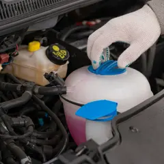 Main d'une personne portant un gant blanc ferme le bouchon d'un vase d'expansion rempli d'eau et de liquide de refroidissement rose.