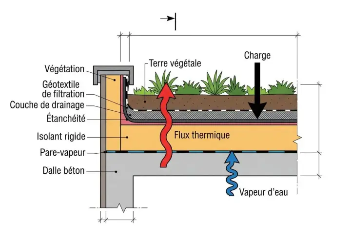 Coupe d'une toiture chaude végétalisée : terre, végétation, drainage, étanchéité, isolant rigide et dalle béton. Flux thermique et vapeur d'eau indiqués.