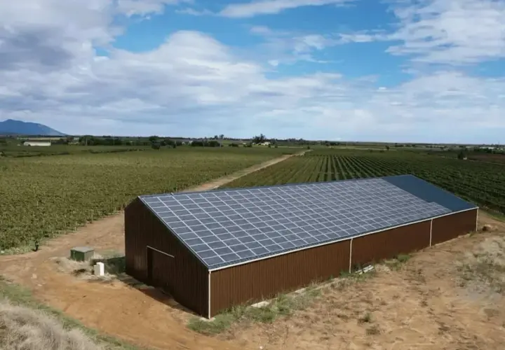 Vue aérienne d'un hangar brun avec un toit couvert de panneaux photovoltaïques, entouré de vignobles.