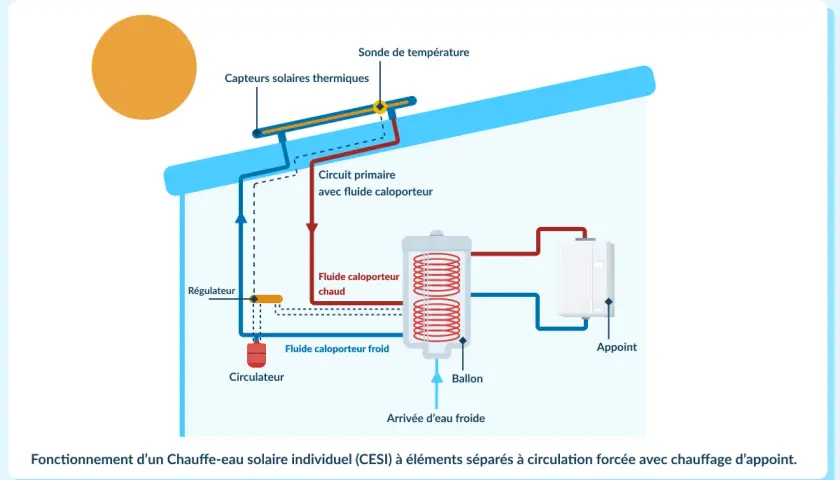Schéma du fonctionnement d'un chauffe-eau solaire : le soleil chauffe un fluide caloporteur qui circule vers un ballon de stockage.