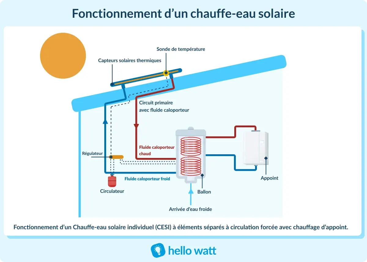 Schéma du fonctionnement d'un chauffe-eau solaire : le soleil chauffe un fluide caloporteur qui circule vers un ballon de stockage.